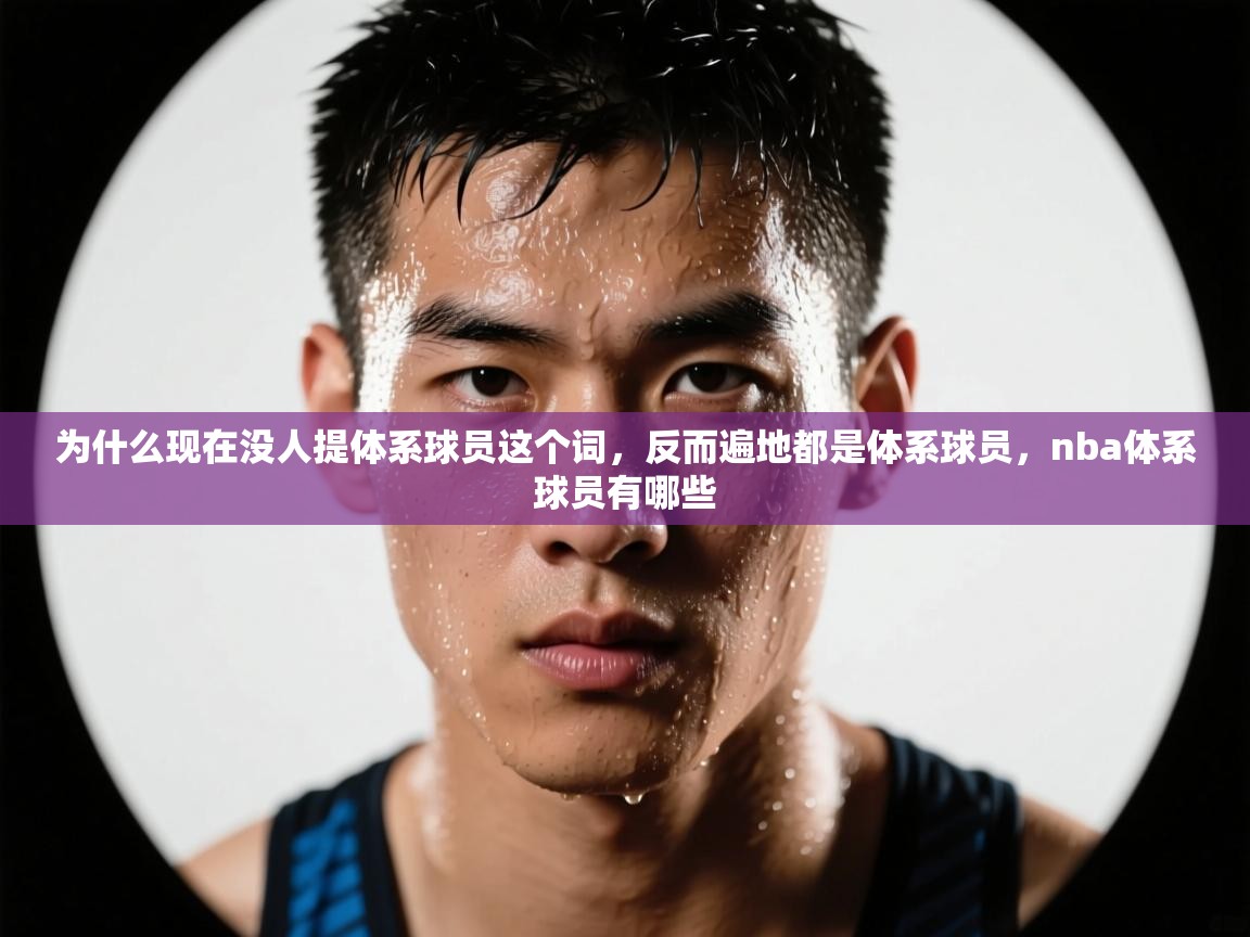 为什么现在没人提体系球员这个词，反而遍地都是体系球员，nba体系球员有哪些