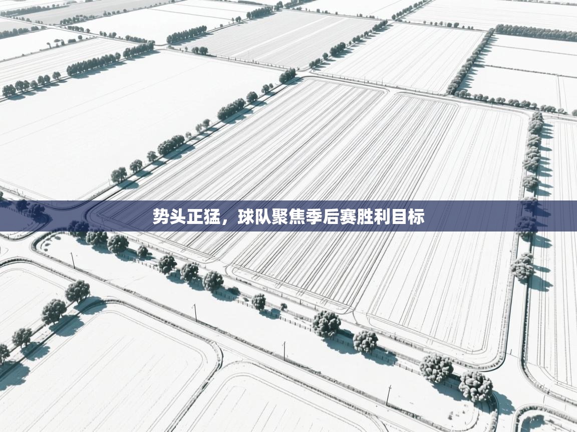 势头正猛，球队聚焦季后赛胜利目标